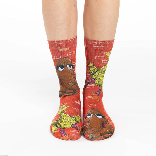 Women's Big Bird & Snuffleupagus Active Socks