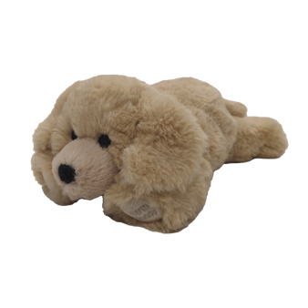 Little Buddy Labrador