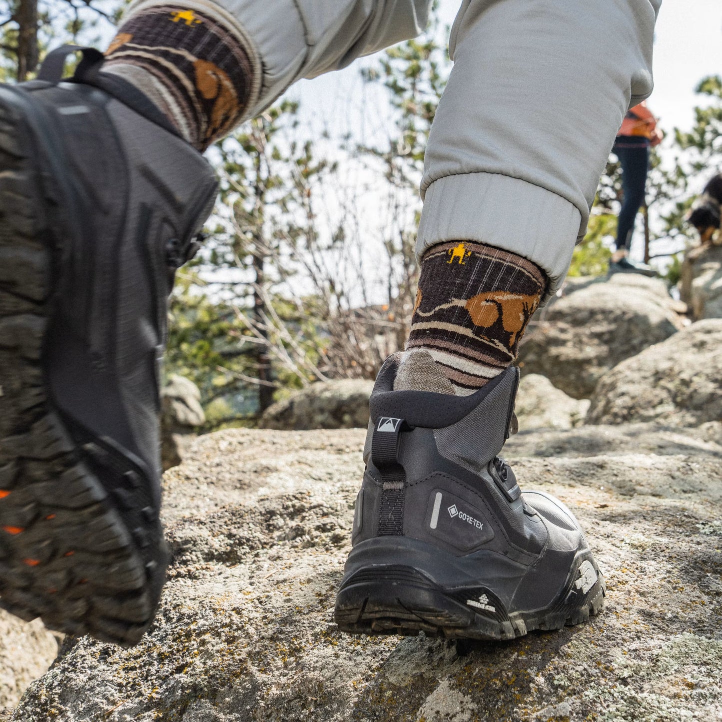 Hike Bear Stripe Mid Crew Socks