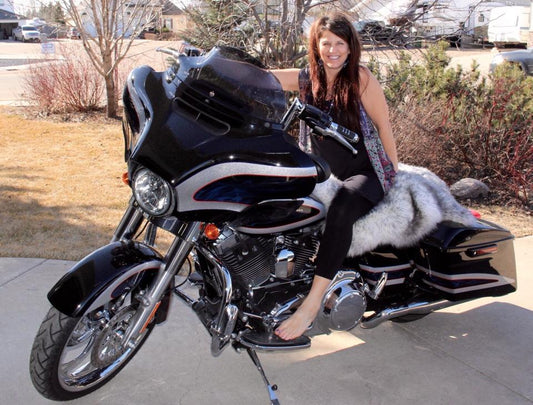 Motorcycle Seat Covers