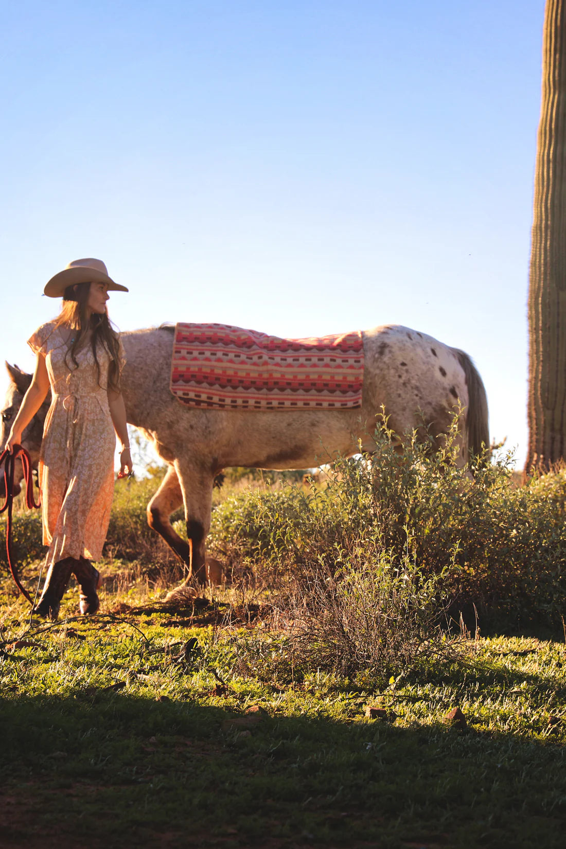 Sierra Softness Alpaca Throw Blanket
