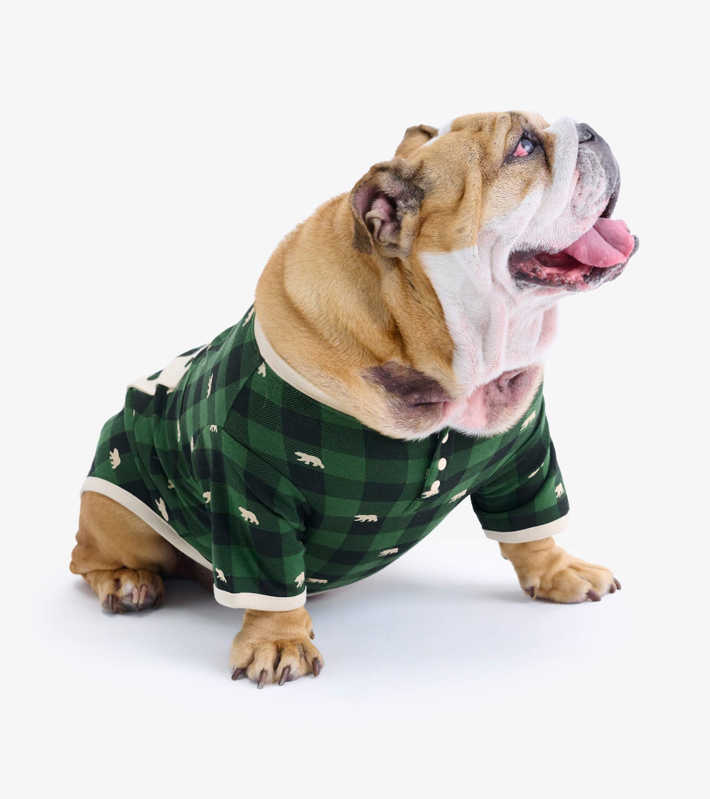 Forest Green Plaid Dog Pyjamas