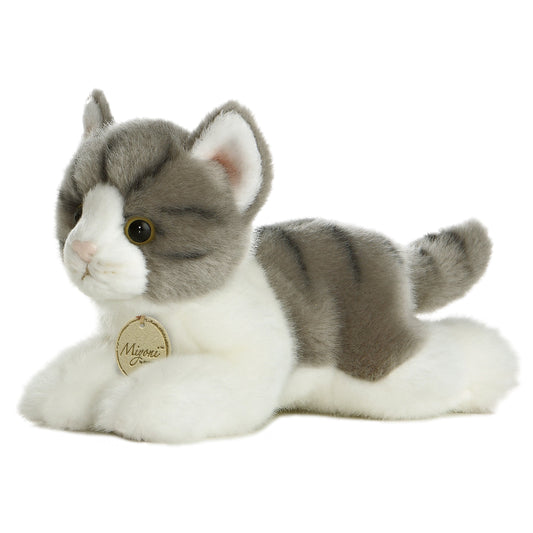 Grey Tabby Cat